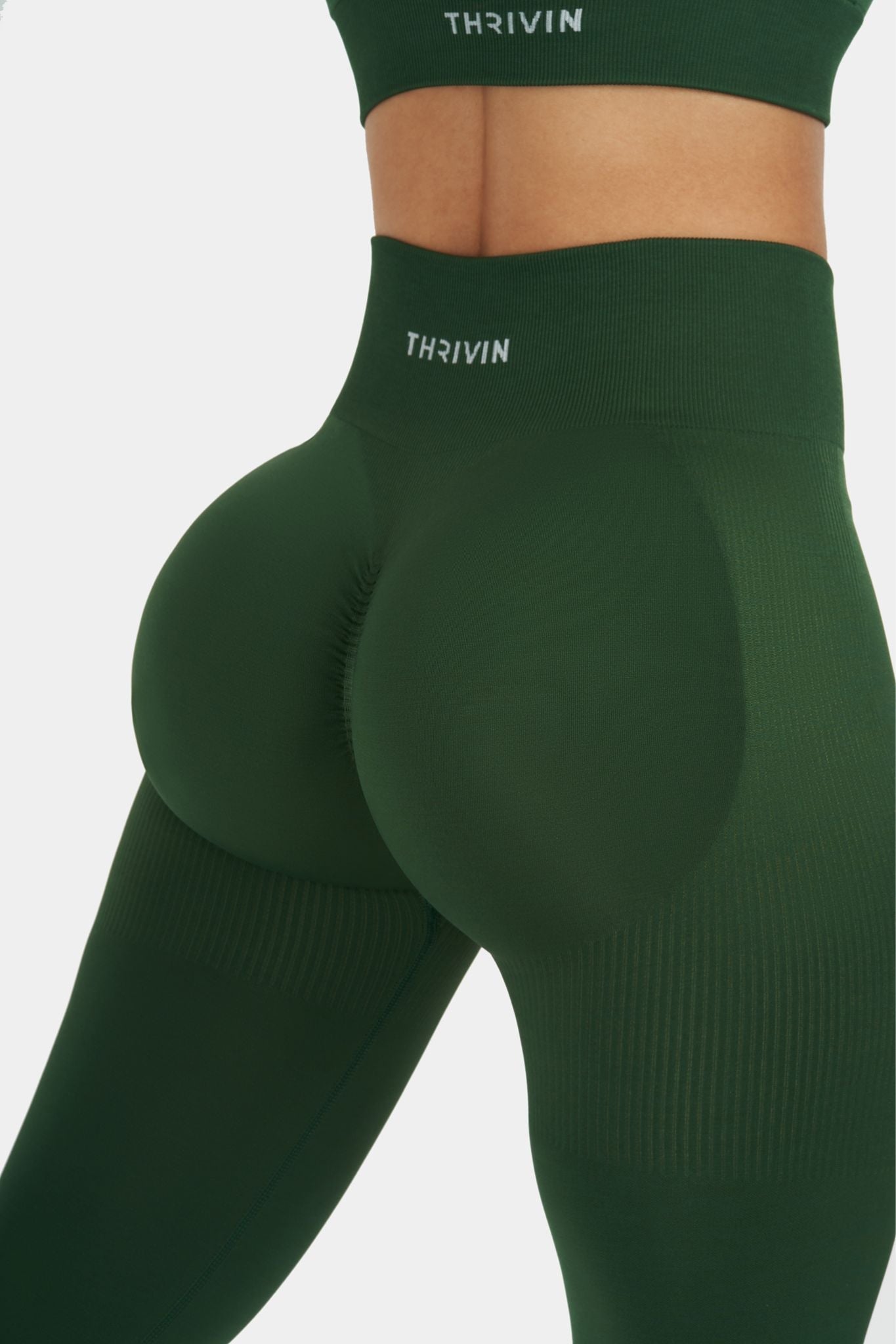 Arise - Seamless Sculpt Ribbed Contour Leggings - Palm Green